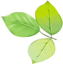 листочки на ветке символ экологии